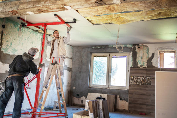 Best Insulation Maintenance and Repair in Bronson, MI