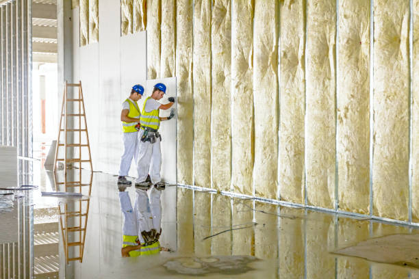 Best Insulation Installation Services in Bronson, MI